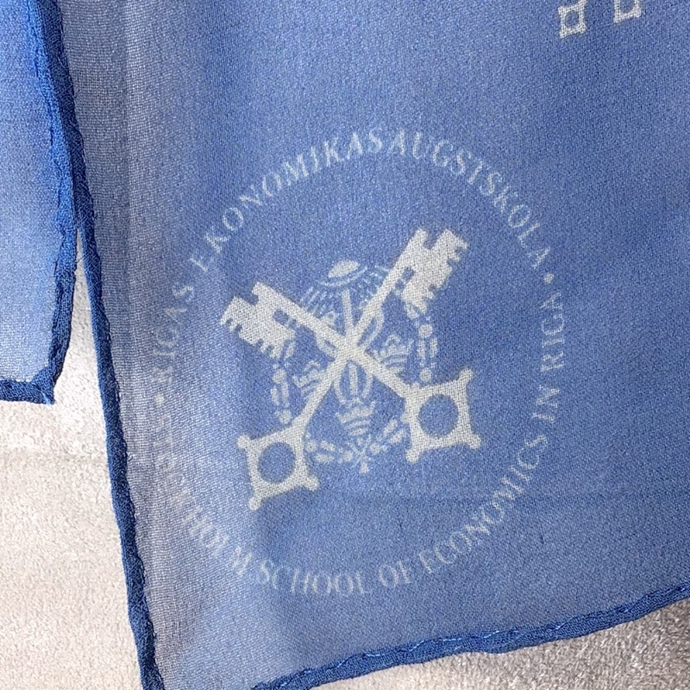 🇸🇪 Rica Sweden Blue Silk Chiffon Oblong Scarf - Picture 4 of 9